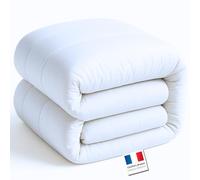 Couette 220x240 Tres Chaude et Épaisse Premium 550g Garantie Couverture 4 Saisons Toute L'année Hiver Eté Printemps Automne Edredon Ultra Gonflante Tres Chaude Epaisse Temperee Lourde Duvet Lit