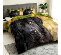 Couette 4 Saisons220x230 cm avec 2 taies d'oreiller 65x65 cm - Multicolore | Style Champêtre Animaux De Compagnie Édredon Réversible sans Housse Lavable, Terre-Neuve Jardin Couette Légère Matelassée