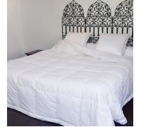 Couette - CASTEX - 260x240 cm - Duvet de Canard - Anti-transpirante - Légère