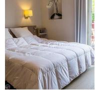Couette - CASTEX COUETTES NATURELLES - 240x220 cm - 90% duvet de canard - Tempérée - 200 g/m²