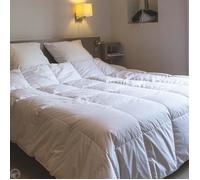 Couette - CASTEX COUETTES NATURELLES - 240x220 cm - 90% duvet neuf - Chaude - Jacquard