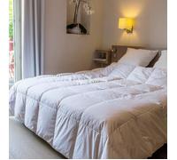 Couette - CASTEX COUETTES NATURELLES - 260x240 cm - 90% duvet de canard - 200 g/m² - Tempérée