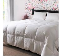 Couette - CASTEX COUETTES NATURELLES - 260x240 cm - 90% Duvet de Canard - Bithermique - Anti-acariens