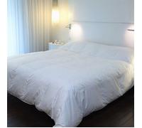 Couette - CASTEX COUETTES NATURELLES - King size 280x240 cm - Duvet de Canard - Blanc