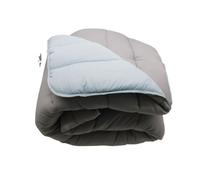 Couette chaude en microfibre gris anthracite/bleu ciel - 220x240 cm - MORTREUX SAS