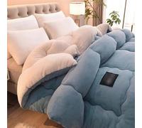 Couette Chaude Et Épaisse Couverture Laine 220x240 Couettes Réversible Lourde Lestée Couverture Hiver Chaude Lit 2 Personnes Edredon Gonflant Duvet(#1,180x220cm/3kg)