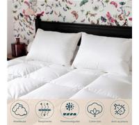 Couette Couple Canard 240 x 220 cm