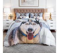 Couette Couvre-Lit Matelassé Style Pastoral 200x200 cm, Campagne Pastoral Animaux Chien Husky Neige Courtepointe Réversible Blanc Pur Parure de Lit - Conditionné Courtepointe Édredon Douce Respirante