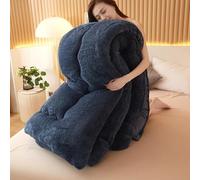 Couette D’Hiver en Cachemire D’Agneau, Couette D’Hiver Moelleuse en Velours D’Agneau De Luxe Super Doux, Couette en Laine Chaude Anti-Allergique épaissie, D, 150×200cm(1.5kg)