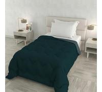 Couette d’Hiver Zoe Made in Italy Bicolore Double Face, édredon Garni 250 g - lit Une Place et demie 220x250 cm - Lavable en Machine - Canard/Sauge