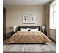 Couette d'hiver taupe, 200 x 240 cm, microfibre et polaire en peluche, respirante avec garnissage en fibres, couette douce pour la saison froide, lavable en machine, durable, design moderne