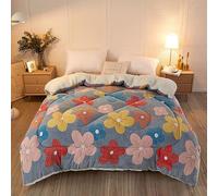 Couette Double Face en Tissu de Velours d'agneau, Chaude et Épaisse pour l'hiver, Edredon Consolateur, Cachemire d'agneau Épaissi Couette De Lit Doux Et Chaud Literie,003,150 * 200(2.5kg)