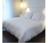 Couette éco chaude - CASTEX COUETTES NATURELLES - 160x200 cm - Duvet de Canard - Tempérée - Blanc