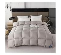 Couette en Duvet Confort Hiver, Tres Chaude Épais Garnissage, 150/180/200/220 1/2 Personne Couette pour L’Hiver, Plumes d'oie et Duvet Doux et Moelleux (Gris,220x240cm(3kg))