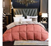 Couette en Duvet De Plumes D’oie, Couette Chaude Toutes Saisons, Couette Moelleuse, Couette en Duvet Moelleux, Couette Ultra-Douce, Couette Légère D’hôtel De Luxe, B, 220x240cm(3kg)