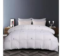Couette en Duvet d'oie pour Toutes Les Saisons, Motif brodé, Queen Size, 900+ Fill Power, Couette chauffante