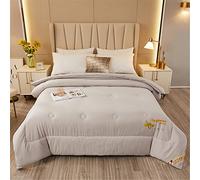 Couette en Microfibre 4 Saisons, Doux Confort Chaude Edredon, Hypoallergénique Anti Acariens Édredon Duvet Hiver Couverture (Gris,180x220cm(3kg))