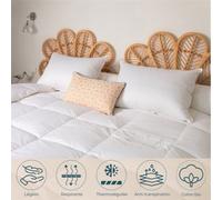 Couette Été - 90% Duvet d'Oie - 200x200 cm
