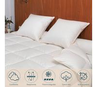 Couette Hiver - 90% Duvet d'Oie - 240x220 cm