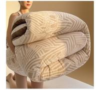 Couette Hiver en Velours Super Doux, Épaisse et Chaude Peluche Édredon, Anti-Allergique Chaud Noyau Microfibre, Couverture d'hiver Polaire pour Lit 2 Personnes, Duveteux Couette D, 220*240cm/5kg