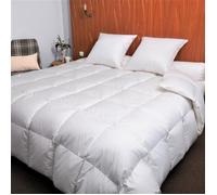 Couette Hiver oie 200x200 cm 90% duvet neuf - CASTEX COUETTES NATURELLES - Chaude - Naturelle - Blanc
