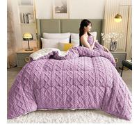 Couette Hiver Très Chaude Couette D'hiver Épaisse Et Chaude En Peau D'agneau Duveteux Couette Épaissir Consolateur Couette De Lit Doux Et Chaud Pour L'automne Et L'hiver Literie(04,200*230cm/4kg)