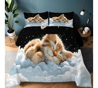 Couette Imprimée Noir 4 Saisons 135 x 200 cm pour Lit 1 Personne, Couette Réversible sans Housse Dessin Animé Animal Nuage Chaton - Edredon Lavable en Machine et 2 Taie d'Oreiller 65 x 65 cm