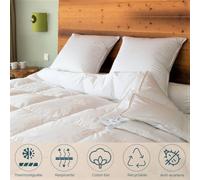 Couette King Size 4 saisons canard - 300 x 240 cm