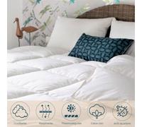 Couette King Size mi-saison canard - 300 x 240 cm