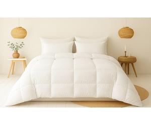 Couette légère et aérée garnissage duvet et plumes : 200 x 200 cm