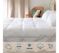 Couette mi-saison - 90% Duvet d'Oie - 260x240 cm