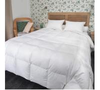 Couette Mi-saison oie 260x240 cm 90% duvet neuf - CASTEX COUETTES NATURELLES - Chaude - Coton bio