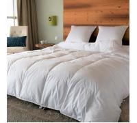 Couette naturelle 4 saisons - CASTEX COUETTES NATURELLES - 140x200 cm - Duvet de Canard - Coton bio - Blanc