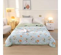 Couette Pleine Queen Taille Treillis Style Design Couette Moelleux Doux Été Couverture Mince Machine Lavable Confortable Respirable Peut Dormir KED pour Toute La Saison, L, 150x200cm