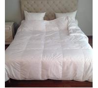 Couette plumes éco légère king size 300x250 cm - CASTEX COUETTES NATURELLES - Duvet de Canard - Légère - Blanc