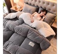 Couette Polaire Double Face Épaisse Et Chaude, Couette En Tissu De Velours D'agneau, Couette Chaude En Cachemire, Couette Épaisse À Noyau De Couette D'hiver, Couverture Épaisse En Cachemire(Light gray
