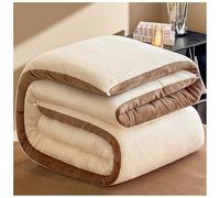 Couette Polaire éPais Et Chaude, épaisse et Moelleuse, Super Doux Édredon d'hiver en Microfibre, Couette Hiver en Velours Respirant Et Chaude, Couverture en Peluche Double Face A, 200*230cm/5kg