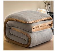 Couette Polaire éPais Et Chaude, épaisse et Moelleuse, Super Doux Édredon d'hiver en Microfibre, Couette Hiver en Velours Respirant Et Chaude, Couverture en Peluche Double Face B, 220*240cm/5kg