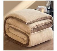 Couette Polaire éPais Et Chaude, épaisse et Moelleuse, Super Doux Édredon d'hiver en Microfibre, Couette Hiver en Velours Respirant Et Chaude, Couverture en Peluche Double Face D, 180*220cm/4kg