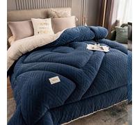 Couette Tres Chaude Couverture Polaire Edredon Gonflant Duvet Doux Respirante Couette Lourde Et Chaude Couverture Hiver 1/2 Personnes Couettes(#3,200x230cm/4kg)