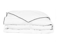 vidaXL Couette 200x200 cm Duvet d'hiver Plume de canard Lavable 40°C