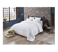 Couette - WOODOURS - Noblesse - 240x260 cm - Chaude - Peau de pêche - Fabriqué en France