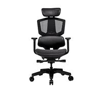 Cougar Fauteuil de Bureau Gaming Argo One Noir