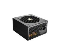 COUGAR Gaming GEX750 unité d'alimentation d'énergie 750 W 20+4 pin ATX ATX Noir