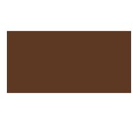 Royal Talens Amsterdam Peinture acrylique Terre d'ombre brûlée 500 ml Bouteille 477739 G