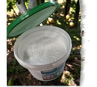 Peinture blanche pour arbres fruitiers - 1 kg de chaux de jardin dans un seau pratique, peinture d'arbre pour la protection contre le gel et l'entretien