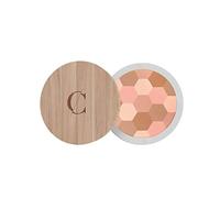 Couleur Caramel Mosaic Polvos 232 Fair Skin Tones 1Un