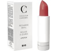 Couleur Caramel Recharge Rouge à Lèvres - n°234 Rosewood