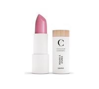 Couleur Caramel Rouge À Lèvres Nacré 203 Rose Sombre