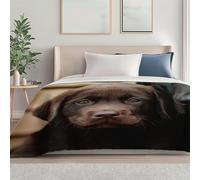Couleur Couverture de Automne Canapé Lit, Douce Durable Jeté en Flanelle Imprimée de Photographie Mignon Portraits d'animaux Chiot, 100 x 130 cm Convient aux Adultes et aux Enfants